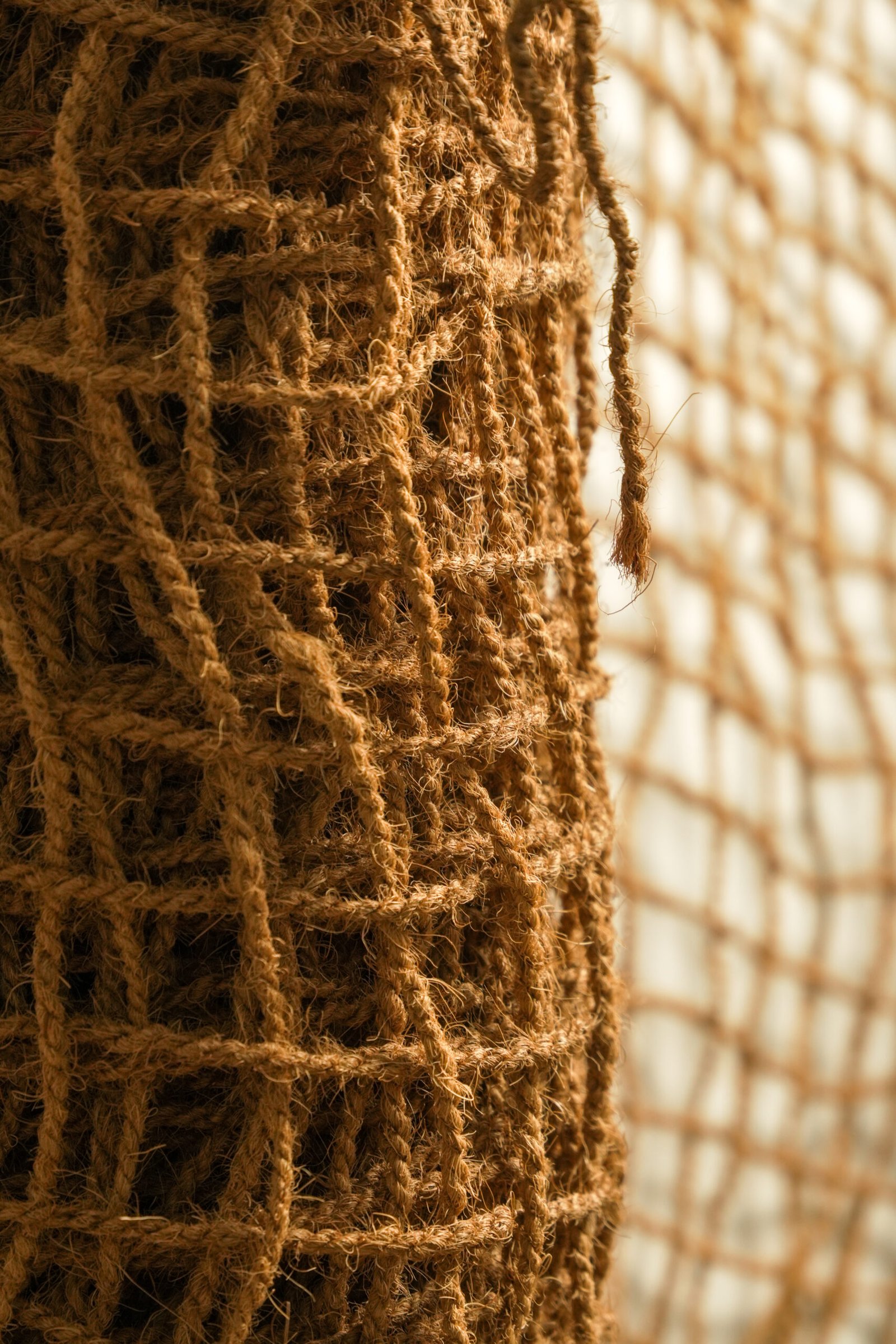 Fixing pins and overlap demo (placeholder)